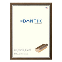 DANTIK rámeček 42 × 59,4, TAIGA sv.hnědý plexi čiré