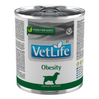 Vet Life Natural Dog konz. Obesity 300g