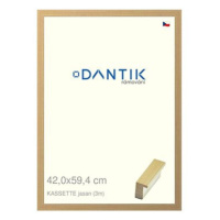 DANTIK rámeček 42 × 59,4, KASSETTE jasan plexi čiré