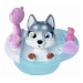 Pejsek Husky Pamper Petz vana