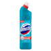 DOMESTOS 24h Plus Atlantic Fresh 750 ml