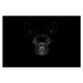 Fotografie dog isolated on black, damedeeso, 40 × 26.7 cm