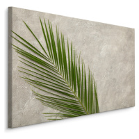 MyBestHome BOX Plátno Palmový List Na Betonovém Pozadí Varianta: 100x70