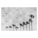 Fotografie California Vibes In Black & White, Melanie Viola, 40 × 26.7 cm