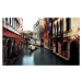 Fotografie The Gondolier, Carmine Chiriac?, 40 × 24.7 cm