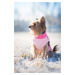Vsepropejska Aston obleček pro psa na zip Barva: Růžová, Délka zad (cm): 25, Obvod hrudníku: 32 