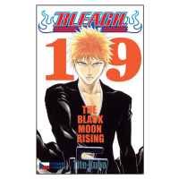 Bleach 19