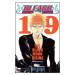 Bleach 19