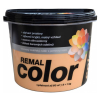 Remal Color meruňka 5+1kg