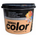 Remal Color meruňka 5+1kg