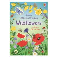 Little First Stickers Wildflowers - Caroline Young, Sarah Watkins (ilustrátor) - kniha z kategor