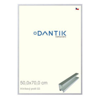 DANTIK rámeček 50 × 70, ALU profil 7003 Stříbrný matný plexi čiré