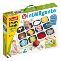 Smart Puzzle magnetico first colors and words - magnetická skládačka