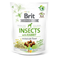 Brit Care Dog Insects with Rabbit, Fennel funkční pamlsky 200g