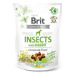 Brit Care Dog Insects with Rabbit, Fennel funkční pamlsky 200g