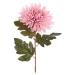 FLORISTA Chryzantéma 73 cm - růžová
