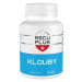 RECUPLUS Klouby, 90 tablet