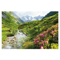 Plakát, Obraz - Alpy - Nature and Mountains, (91.5 x 61 cm)