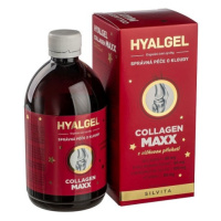 Hyalgel Collagen MAXX 500 ml příchuť VIŠEŇ