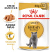 ROYAL CANIN British Shorthair Adult pro britské krátkosrsté kočky 12 × 85 g