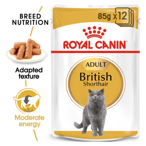 ROYAL CANIN British Shorthair Adult pro britské krátkosrsté kočky 12 × 85 g