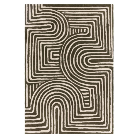 Zelený ručně tkaný vlněný koberec 160x230 cm Reef – Asiatic Carpets