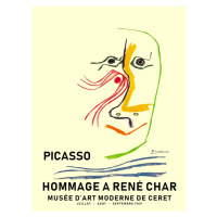 Ilustrace Picasso 1969, Finlay & Noa, 30x40 cm