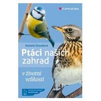 Ptáci našich zahrad v životní velikosti