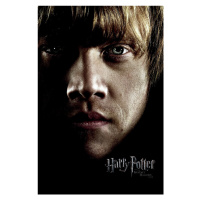 Umělecký tisk Harry Potter - Ron, 26.7 × 40 cm