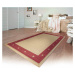Oriental Weavers koberce Kusový koberec SISALO/DAWN 879/O44P (J84 Red) – na ven i na doma - 200x