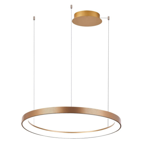 Azzardo -LED Stmívatelný lustr na lanku AGNES LED/38W/230V pr. 48 cm zlatá
