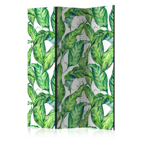 Paraván Long Leaves Dekorhome 225x172 cm (5-dílný)