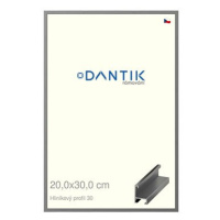 DANTIK rámeček 20 × 30, ALU profil 6030 Ocelový sklo čiré