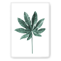 Dekoria Plakát  Leaf Emerald Green, 50 x 70 cm, Ramka: Biała