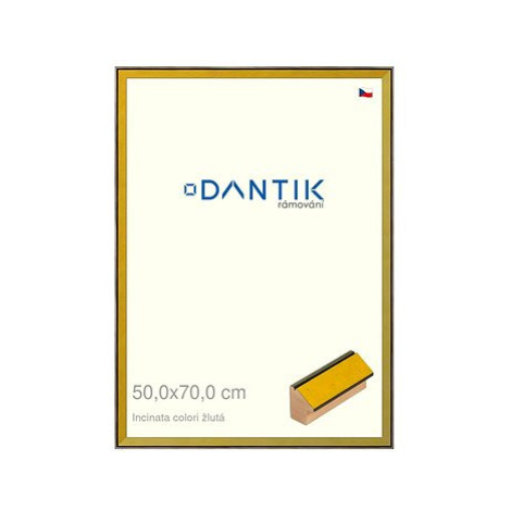 DANTIK rámeček 50 × 70, INCLINATA colori žlutý plexi čiré