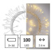 EMOS Vánoční LED řetěz Nanos ježek s časovačem 2,4 m teplá bílá