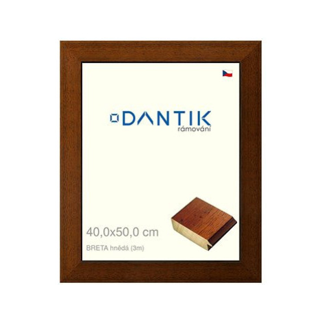 DANTIK rámeček 40 × 50, BRETA hnědý plexi čiré