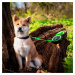 Vsepropejska Lead samonavíjecí vodítko pro psa | 5 m Barva: Černo-zelená, Délka vodítka: 5 m