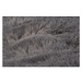 WI Kusový koberec Rabbit šedý - 80 x 150 cm