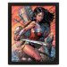 3D obraz Wonder Woman (Battle)