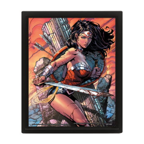3D obraz Wonder Woman (Battle)
