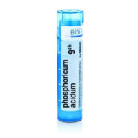 BOIRON Phosphoricum Acidum CH9 4 g