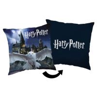 Dětský polštářek Harry Potter – Jerry Fabrics