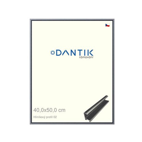 DANTIK rámeček 40 × 50, ALU profil 7002 Platina matný plexi čiré