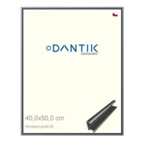 DANTIK rámeček 40 × 50, ALU profil 7002 Platina matný plexi čiré