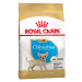 Royal Canin Chihuahua Puppy - Výhodné balení 2 x 1,5 kg
