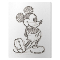 Obraz na plátně Mickey Mouse - Single, 2 - 40×50 cm