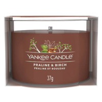 YANKEE CANDLE Praline & Birch 37 g