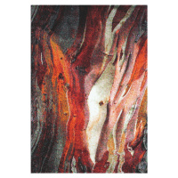 Spoltex koberce Liberec Kusový koberec Rust red 21304-910 - 200x290 cm