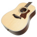 Taylor Legacy 810e